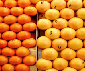 Benefits of Eating Orange