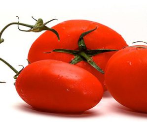 Learn why Tomatoes are a boon for health