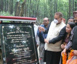 Cabinet Minister Joshi laid the foundation stone of the road after reaching Chandmari village.