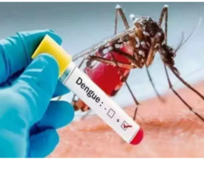 Dengue stings in Dehradun; Confirmed in eight more people – Health Department Alert