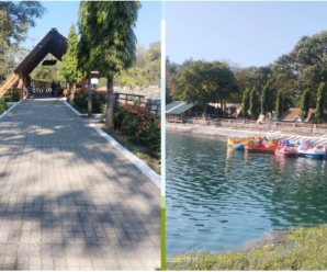 Resort ready for guests in Asan Wetland, guests will take a walk; You will get mountain food