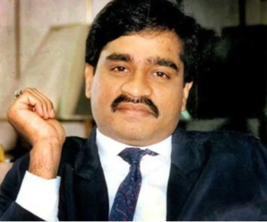 Internet halted in Pakistan, social media also down; Connection being taken out from Dawood