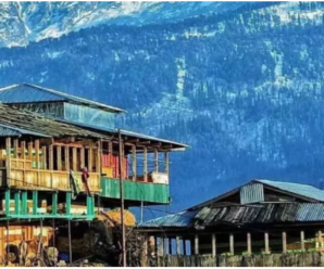 The weather changed in the mountains, snowfall started again; bright sunshine in the fields