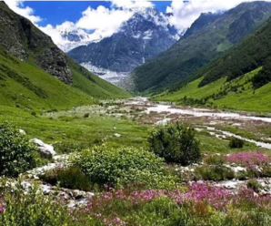 The world famous Valley of Flowers will open for tourists today, the group of tourists will leave at 8 am