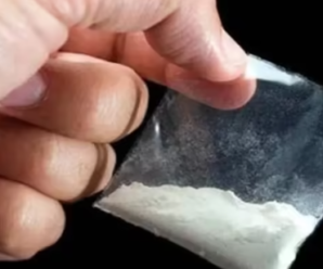 STF’s biggest action against drug smugglers so far, smack worth four and a half crores recovered