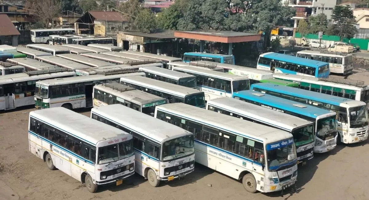 UKbus-1764826244271