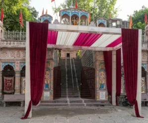 Permission missing, Uttarakhand minister’s son weds inside Rajaji Tiger Reserve