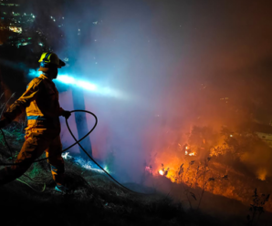 U’khand plans reward scheme of up to Rs 1 lakh to strengthen fight against forest fires